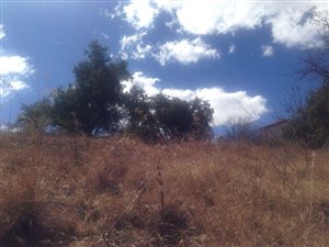 1837 m² Land available in Olifantsnek