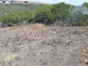 997 m² Land available in Seemeeu Park