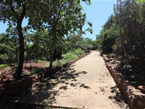 38 ha Farm in Modimole (Nylstroom)
