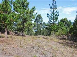 9785 m² Land available in Simola