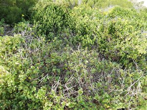 491 m² Land available in Tergniet
