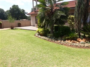 4 Bed House in Delmas West