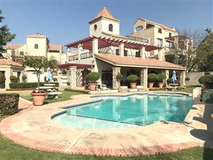 1 Bedroom Apartment in Morningside