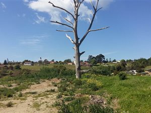 6754 m² Land available in Pacaltsdorp