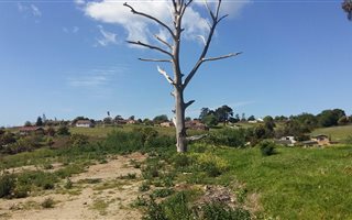 6754 m² Land available in Pacaltsdorp