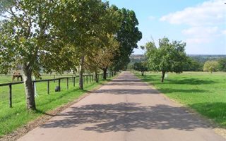 1000 m² Land available in Boschkop
