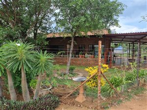 533 ha Farm in Musina