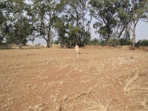 1139 m² Land available in Kookrus
