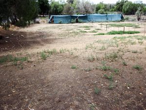 1002 m² Land available in Oudtshoorn