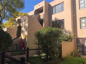 1 Bed Apartment in Parktown