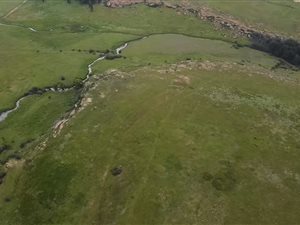 208 ha Farmland in Carolina