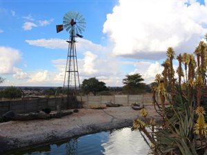 Farm in Bultfontein