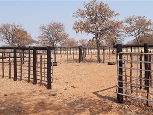 Game Farm in Alldays
