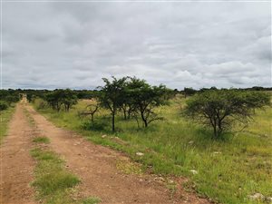 8 ha Land available in Leeukuil AH