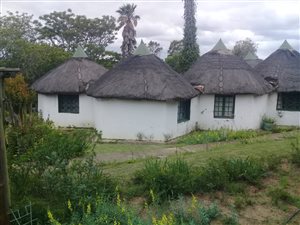 7 ha Farm in Stutterheim