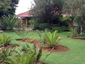 4 Bed House in Florida Park