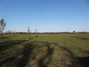 17 ha Land available in Greenbushes