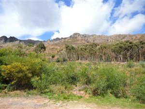 777 m² Land available in Mountainside