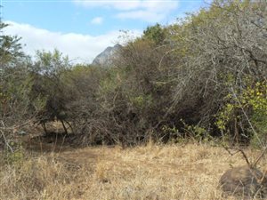 2500 m² Land available in Kampersrus AH