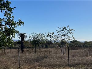8088 m² Land available in Broadlands