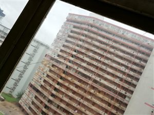 1 Bed Apartment in Sunnyside