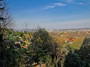 1 Bed Apartment in Cyrildene