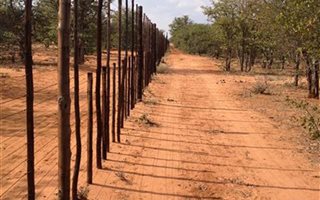 927 ha Commercial Farm in Musina