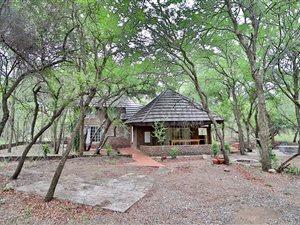 4 Bed House in Marloth Park