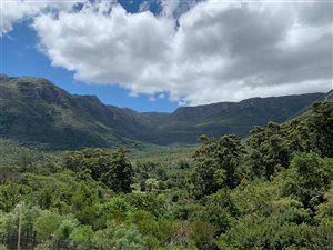 1378 m² Land available in Hout Bay and surrounds