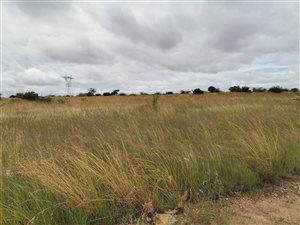 9 ha Land available in Leeukuil AH