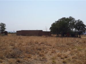 36.4 ha Farm in Waterval East