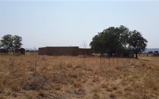 36.4 ha Farm in Waterval East