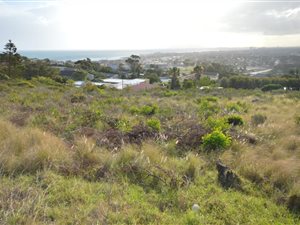 1586 m² Land available in Mountainside