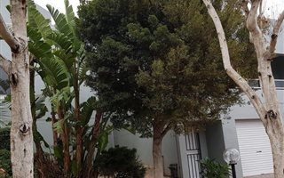 4 Bedroom House in Bergsig