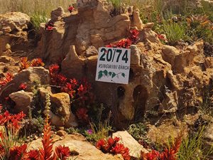 576 m² Land available in Kungwini Country Estate