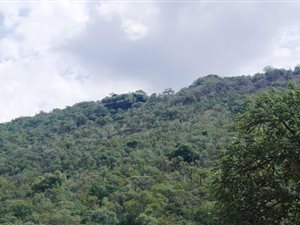 700 m² Land available in Mookgophong (Naboomspruit)