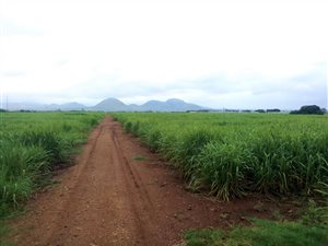 46 ha Farm in Malelane