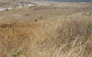 735 m² Land available in Hoogland
