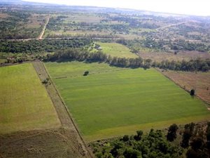 26 ha Farm in Rayton