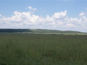 872 ha Farm in Ventersdorp