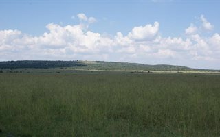 872 ha Farm in Ventersdorp