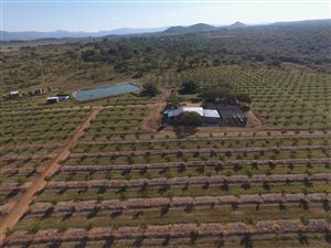 42 ha Farm in Barberton