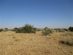 Farm in Kuruman