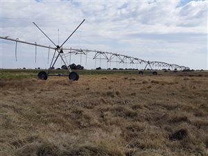 538 ha Farm in Kuruman