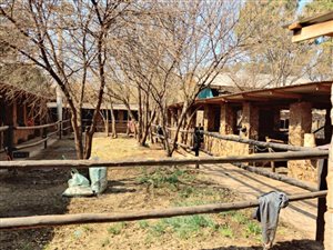 24.5 ha Farm in Lanseria and surrounds