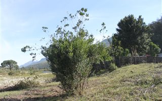 3004 m² Land available in Suurbraak