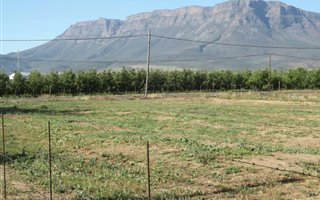 1060 m² Land available in Prince Alfred Hamlet