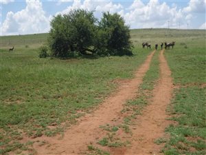104 ha Land available in Lanseria and surrounds