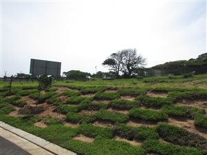 1191 m² Land available in Sheffield Beach