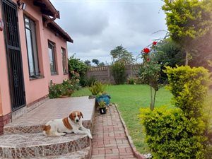 3 Bed House in Pine Ridge